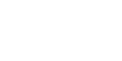 VSOne